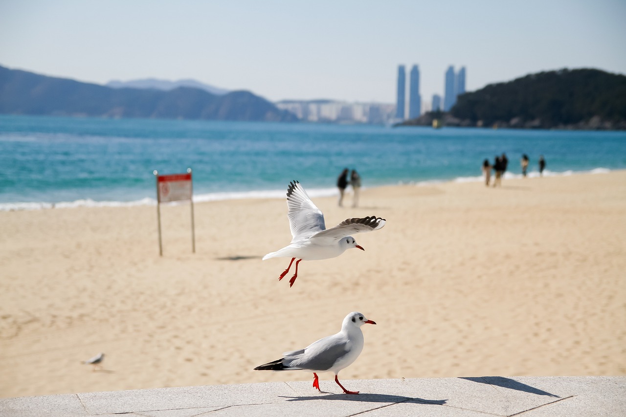 해운대 레스토랑