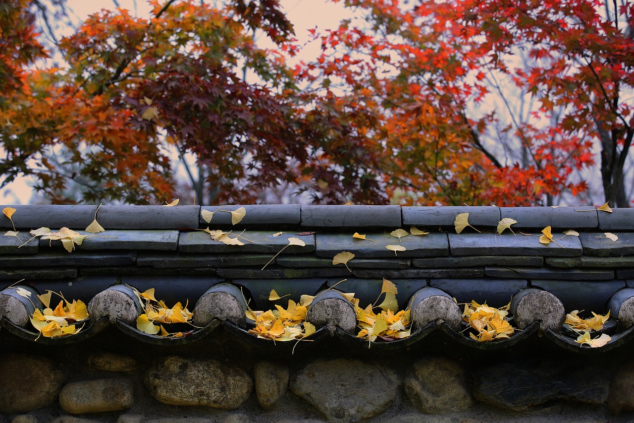 청도 눈썰매장