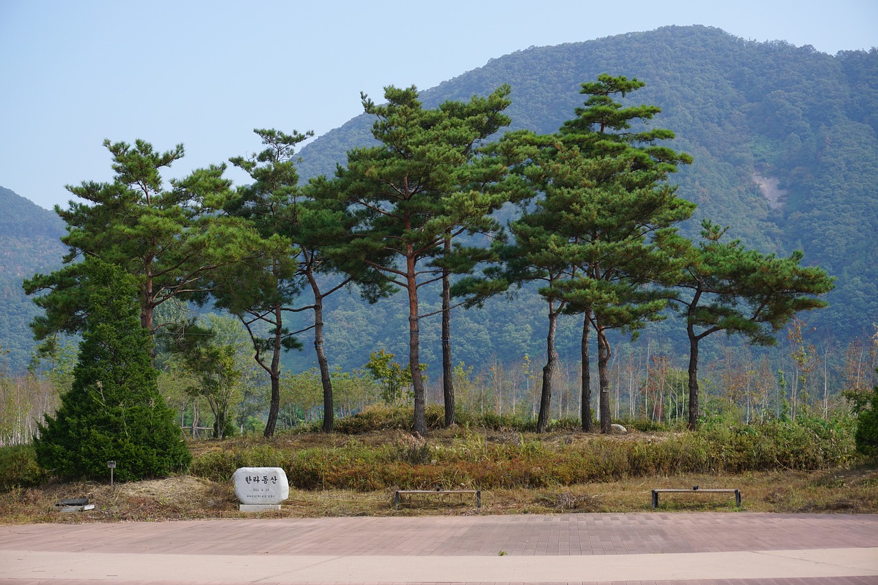 춘천이사
