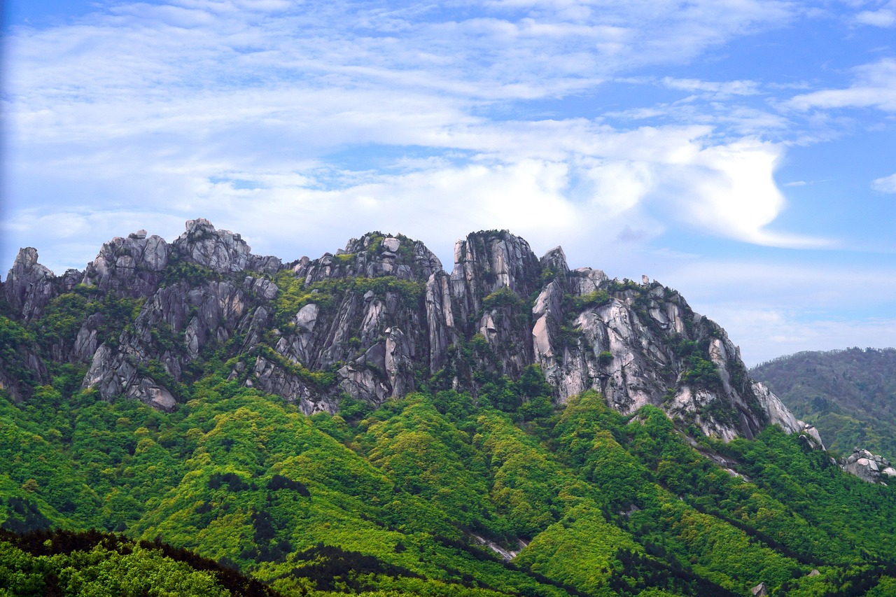 울산동구이사